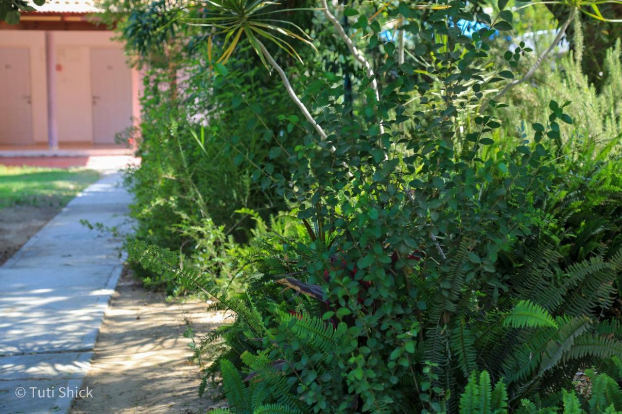 Mandara - Country Lodging Urim Buitenkant foto